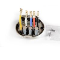Haswing Elektronikmodul