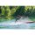 Aqua Marina SUP Race Elite 14.0 (Ausstellungsstück)
