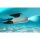 Aqua Marina Beleuchtung vorne für Bluedrive X/X Pro