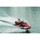 Yamaha WaveRunner FX Cruiser SVHO (Modell 2027)